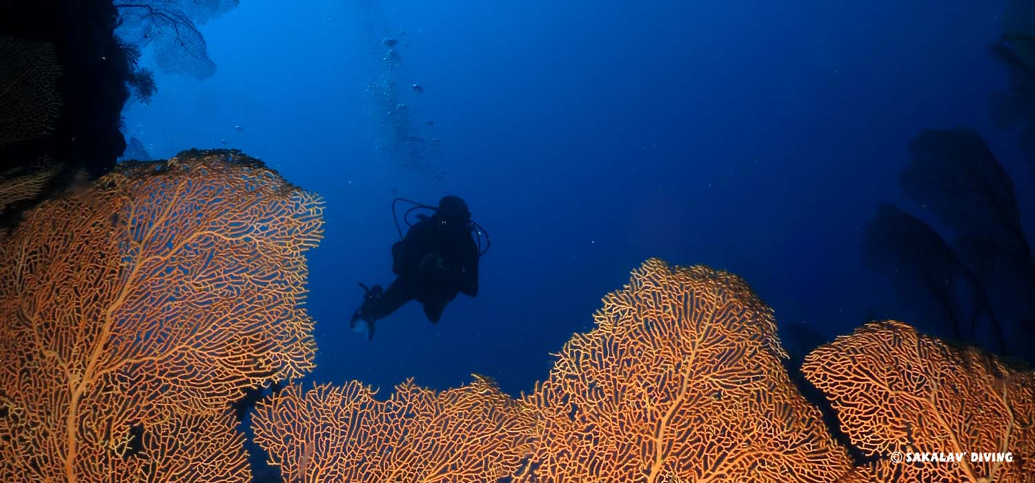 Packages croisière plongée Nosy Be